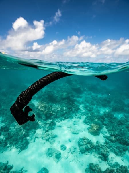 Alchemy Air Snorkel - Image 4