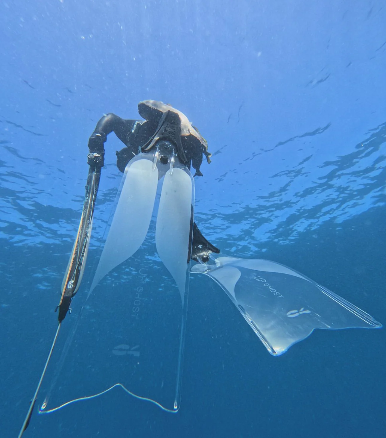 C4 Umberto Pelizzari - Ghost Fin - Image 2