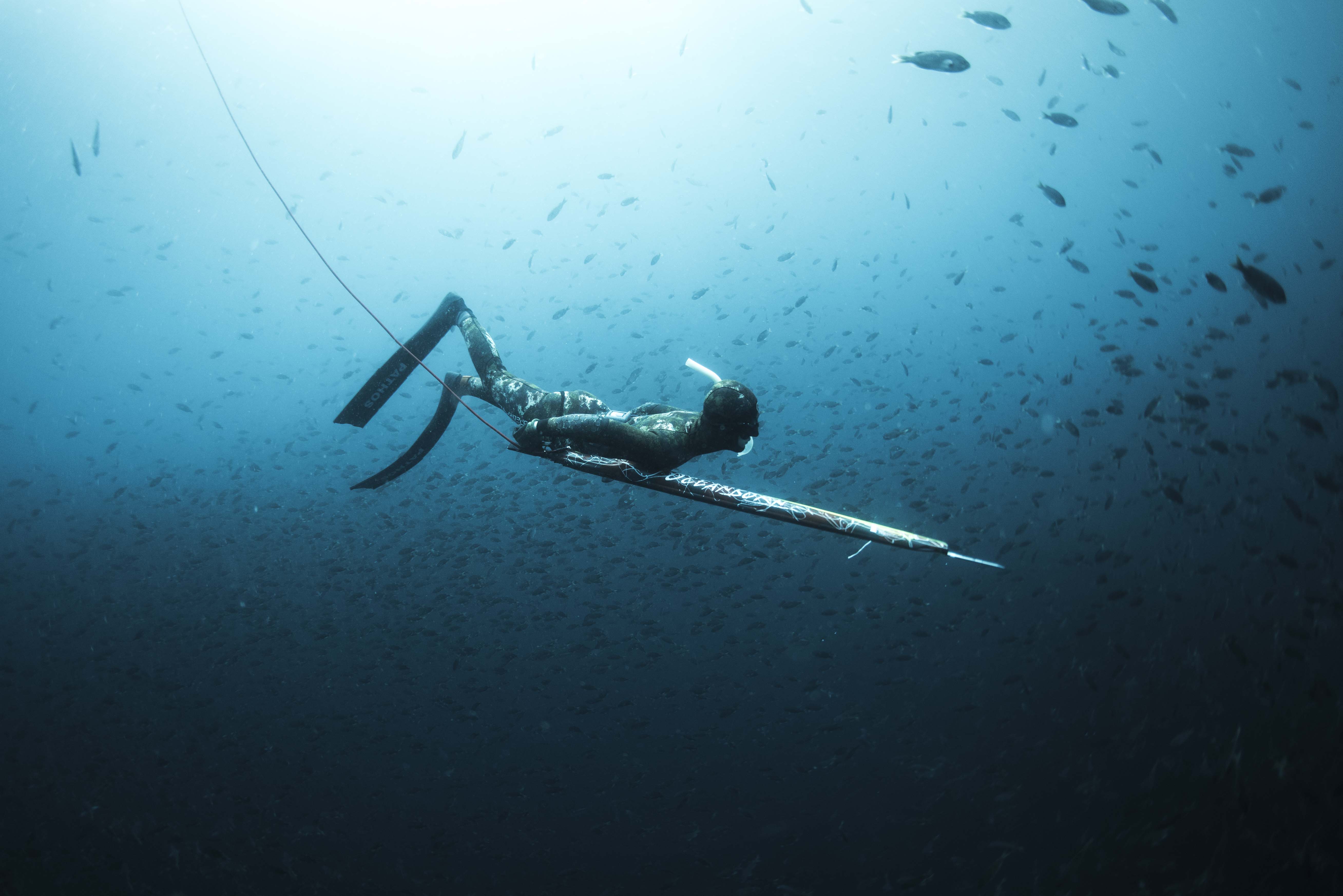 F.i.i. Spearfishing Course - click link in description to sign up - Image 3