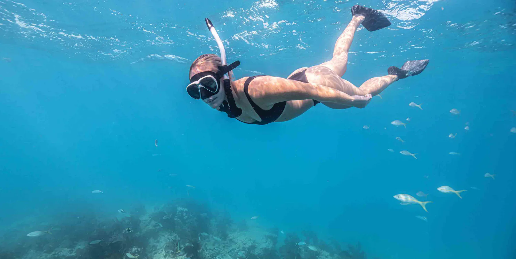 Riffe Nekton Dive Mask - White - Image 3