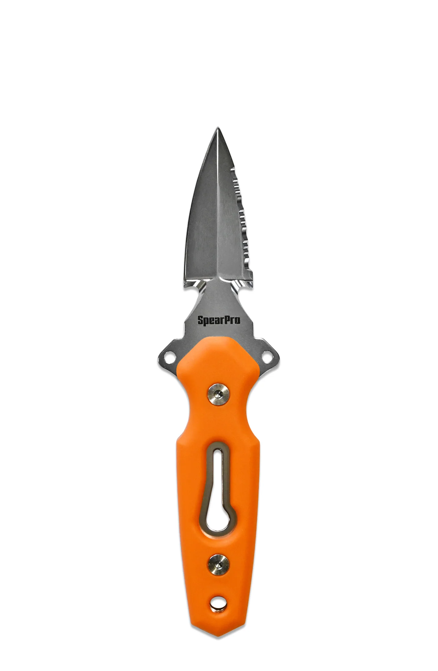 SpearPro Ranger Mini Dagger 3.0" Stainless Steel Dive Knife Polished - Image 4