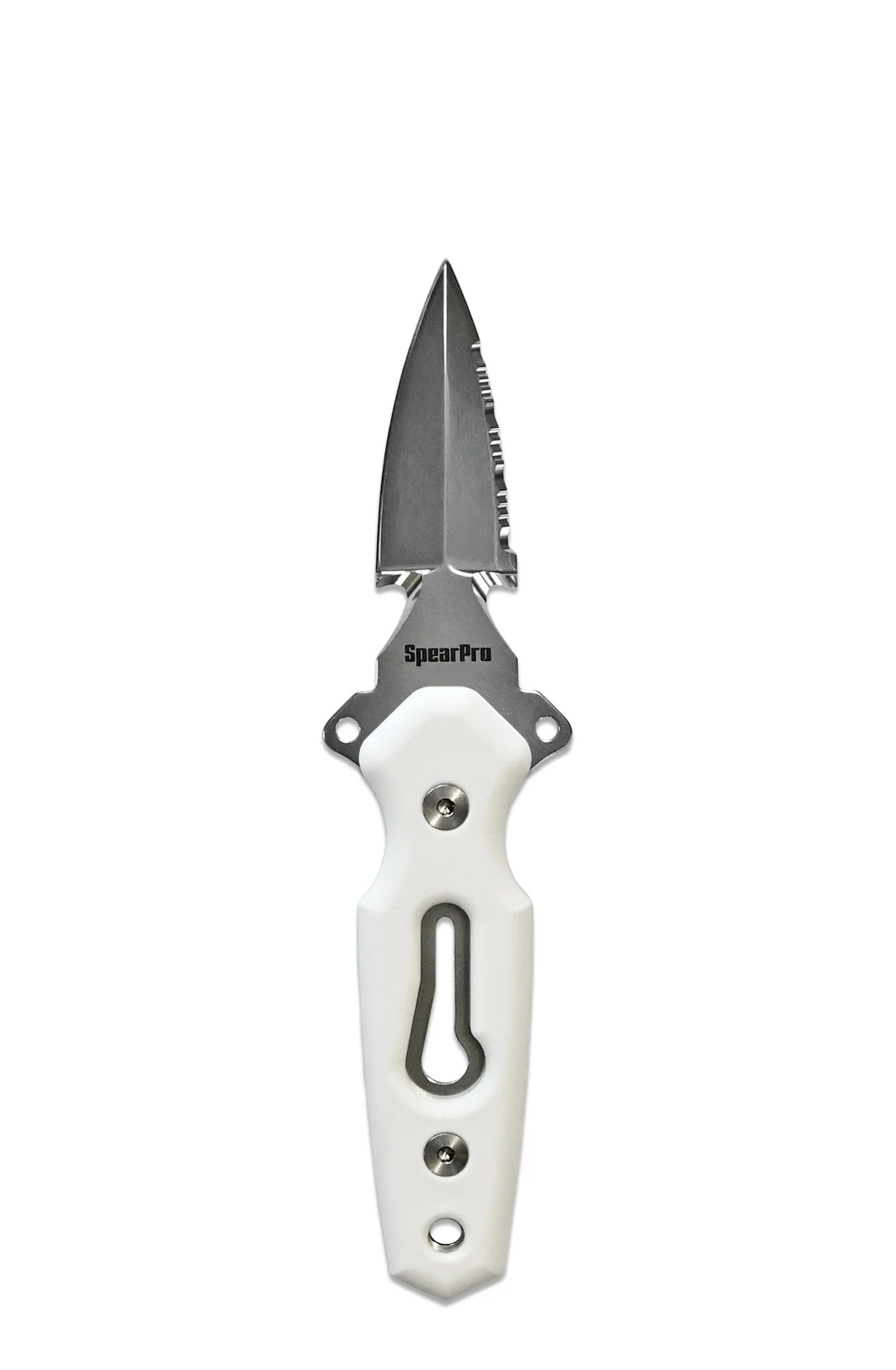 SpearPro Ranger Mini Dagger 3.0" Stainless Steel Dive Knife Polished - Image 5